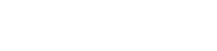 Iraqi National Food Industry